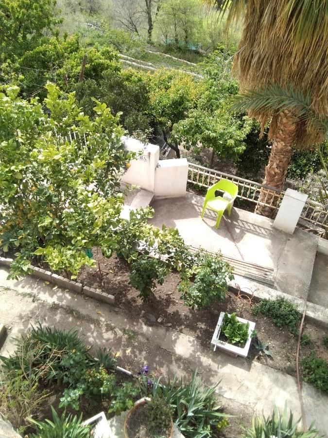 La Flecha Hostel Abrucena Екстериор снимка